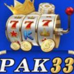 Pak 33 Game